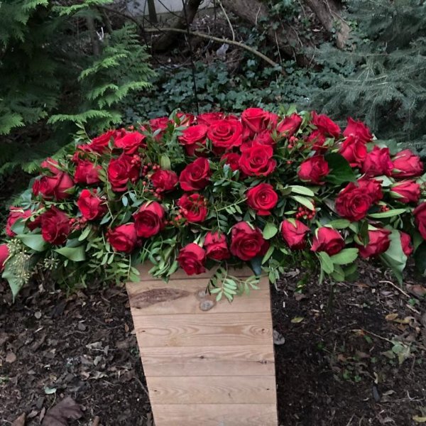 klassisch rote Rosen Bild 1